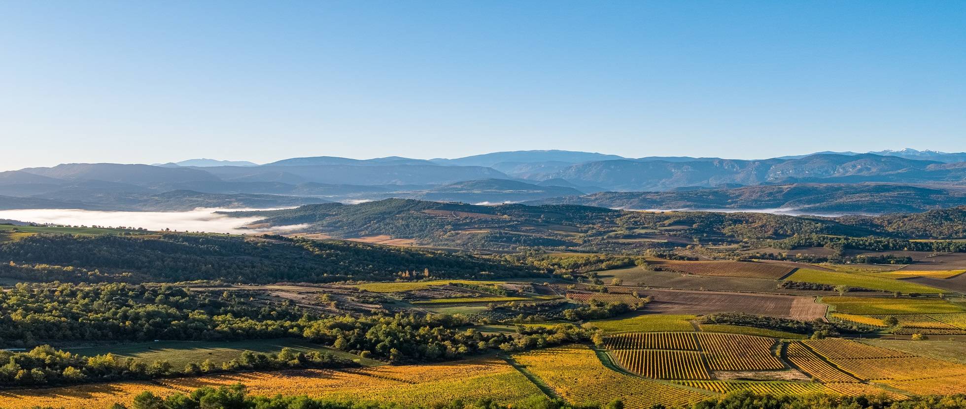 Vineyards and hills under a blue sky, Domaine Delmas photograph