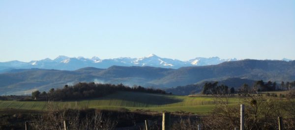 Domaine Girard landscape
